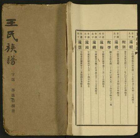 湖南王氏族谱-王氏族谱 [残卷].pdf电子版缩略图