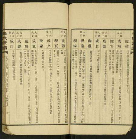 湖南王氏族谱-王氏族谱 [残卷].pdf电子版预览图5