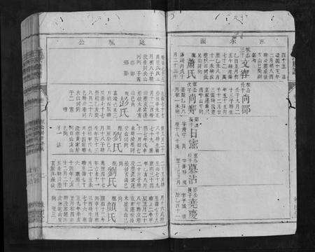 湖南王氏族谱-王氏族谱[5卷首末各1卷].pdf电子版预览图2