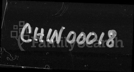 湖南王氏族谱-王氏海公七修族谱 [18卷,含卷首].pdf电子版预览图4