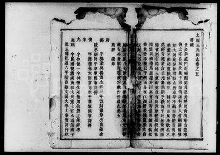 湖南王氏族谱-王氏祠志 [18卷].pdf电子版预览图2