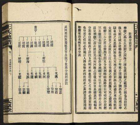 湖南王氏族谱-王氏总谱 [8卷].pdf电子版预览图2