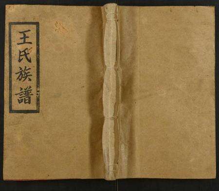 湖南未知族谱-王氏续修族谱.pdf电子版缩略图