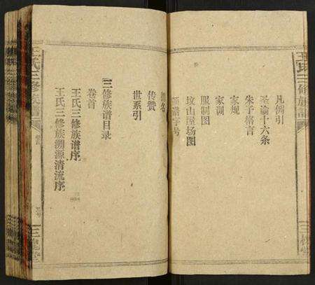 湖南未知族谱-王氏续修族谱.pdf电子版预览图4