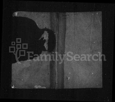 湖南王氏族谱-王氏通谱 [106卷,首2卷].pdf电子版预览图1