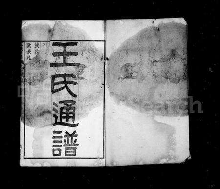 湖南王氏族谱-王氏通谱 [106卷,首2卷].pdf电子版预览图2