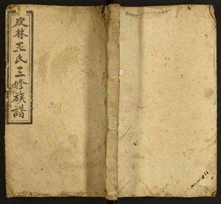 湖南王氏族谱-皮林王氏三修族谱.pdf电子版缩略图