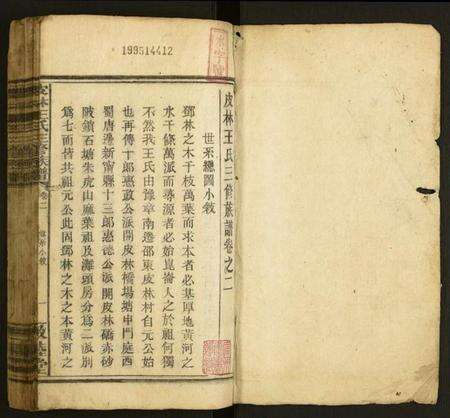 湖南王氏族谱-皮林王氏三修族谱.pdf电子版预览图1