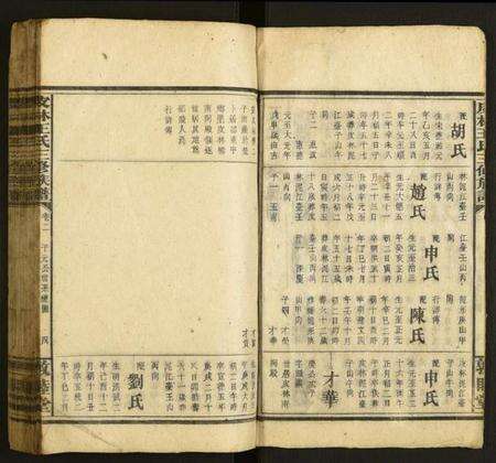 湖南王氏族谱-皮林王氏三修族谱.pdf电子版预览图4