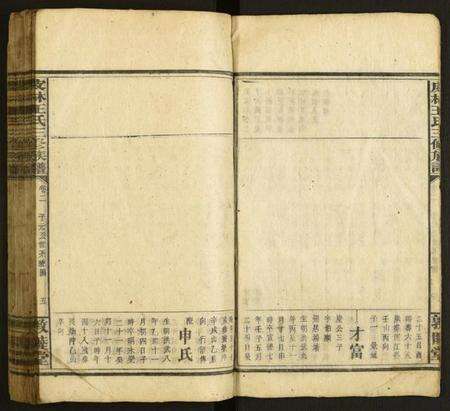 湖南王氏族谱-皮林王氏三修族谱.pdf电子版预览图5