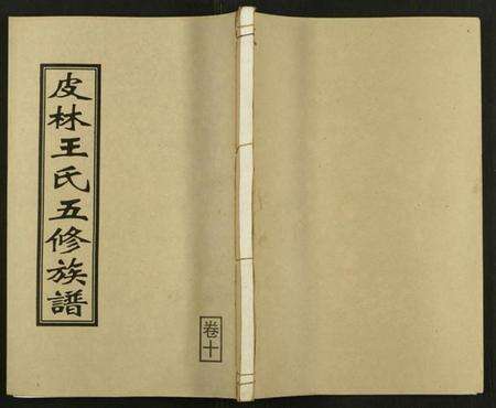 湖南王氏族谱-皮林王氏五修族谱 [26卷].pdf电子版缩略图