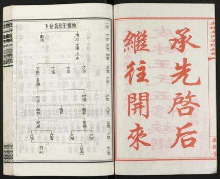 湖南王氏族谱-皮林王氏五修族谱 [26卷].pdf电子版预览图2