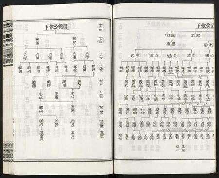 湖南王氏族谱-皮林王氏五修族谱 [26卷].pdf电子版预览图4