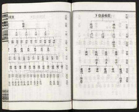 湖南王氏族谱-皮林王氏五修族谱 [26卷].pdf电子版预览图5