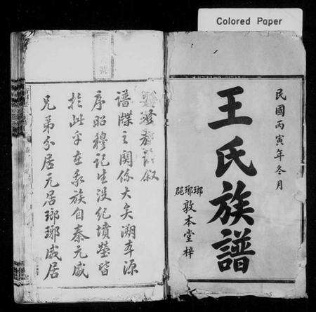 湖南王氏族谱-衡湘王氏四修族谱 [12卷].pdf电子版预览图2