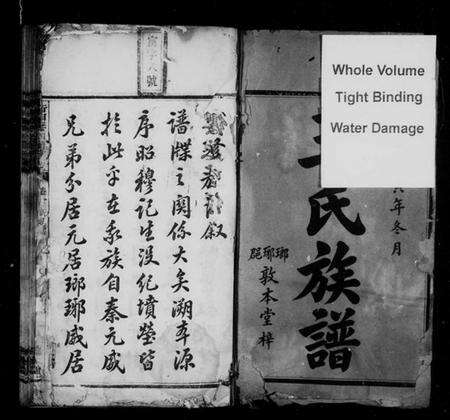 湖南王氏族谱-衡湘王氏四修族谱 [12卷].pdf电子版预览图3