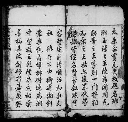 湖南王氏族谱-衡湘王氏四修族谱 [12卷].pdf电子版预览图5