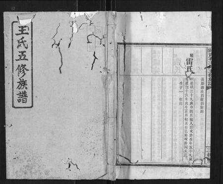 湖南王氏族谱-衡阳青石王氏五修族谱.pdf电子版缩略图