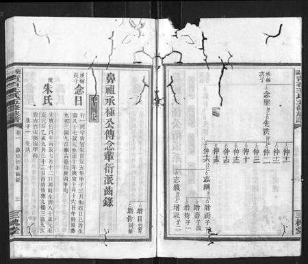 湖南王氏族谱-衡阳青石王氏五修族谱.pdf电子版预览图3