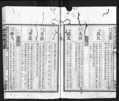 湖南王氏族谱-衡阳青石王氏五修族谱.pdf电子版预览图4