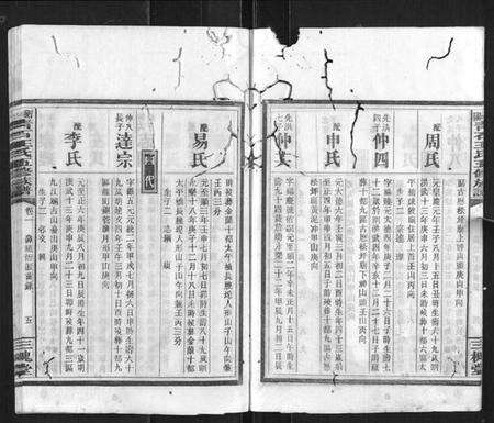 湖南王氏族谱-衡阳青石王氏五修族谱.pdf电子版预览图5