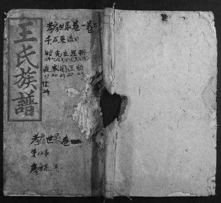 湖南王氏族谱-资兴双溪王氏族谱.pdf电子版缩略图