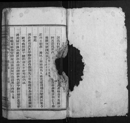 湖南王氏族谱-资兴双溪王氏族谱.pdf电子版预览图1