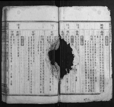 湖南王氏族谱-资兴双溪王氏族谱.pdf电子版预览图2