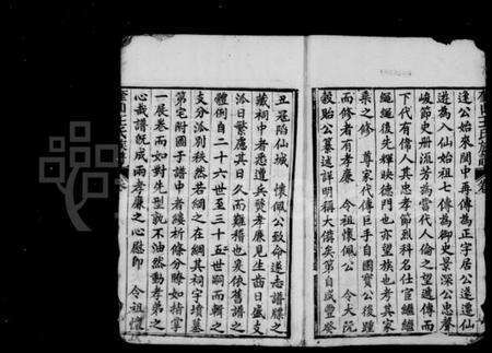 湖南王氏族谱-重修奎山王氏族谱 [12卷,首1卷].pdf电子版预览图5