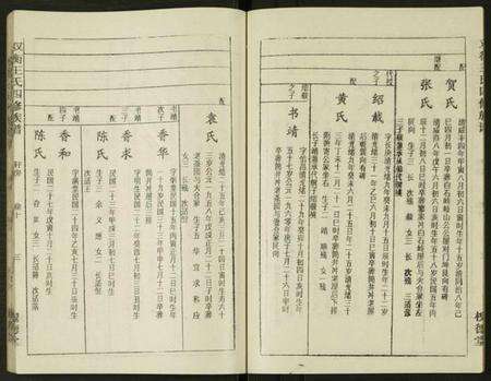 湖南王氏族谱-双衡王氏四修族谱 [14卷].pdf电子版预览图3