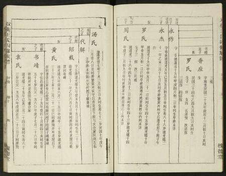 湖南王氏族谱-双衡王氏四修族谱 [14卷].pdf电子版预览图4