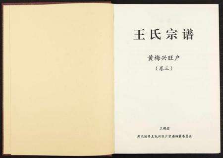 湖南王氏族谱-黄梅兴旺户王氏宗谱 [3卷].pdf电子版预览图2