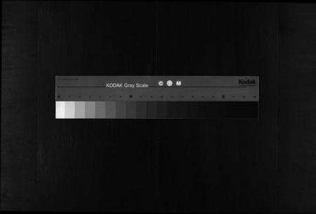 浙江金氏族谱-西衕金氏宗谱 [3卷].pdf电子版缩略图