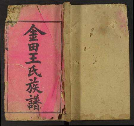 湖南王氏族谱-金田王氏族谱 [残卷].pdf电子版缩略图