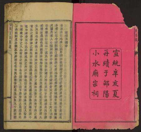 湖南王氏族谱-金田王氏族谱 [残卷].pdf电子版预览图1