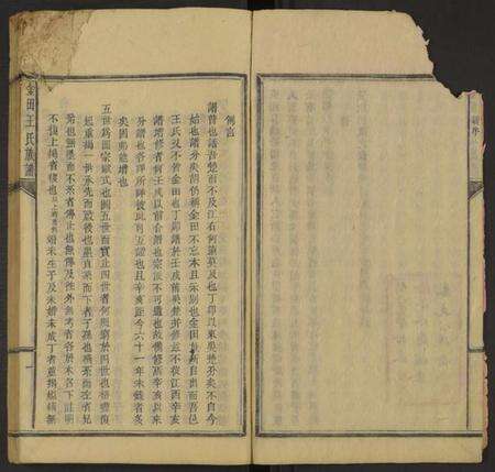 湖南王氏族谱-金田王氏族谱 [残卷].pdf电子版预览图3