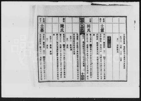 湖南魏氏族谱-魏氏五修族谱 [6卷,首4卷].pdf电子版预览图5