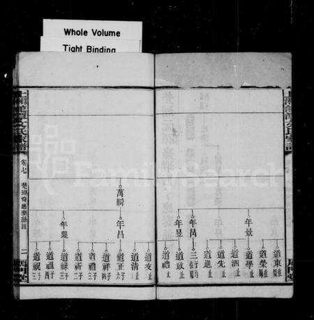湖南文氏族谱-上湘龙潭文氏家谱 [7卷].pdf电子版预览图3