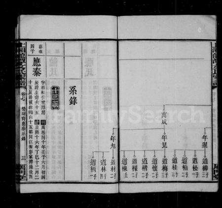 湖南文氏族谱-上湘龙潭文氏家谱 [7卷].pdf电子版预览图4