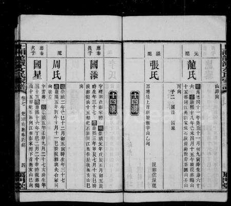 湖南文氏族谱-上湘龙潭文氏家谱 [7卷].pdf电子版预览图5