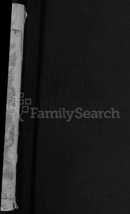 湖北雷氏族谱-雷氏宗谱 [25卷,首3卷].pdf电子版预览图2