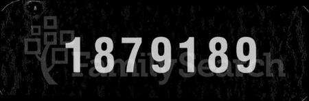 湖北雷氏族谱-雷氏宗谱 [40卷,及卷首].pdf电子版缩略图