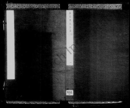 浙江陈氏族谱-谷山陈氏宗谱 [6卷].pdf电子版预览图5