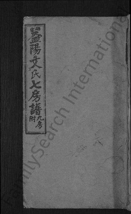 湖南文氏族谱-益阳文氏七房谱, 九房附 [28卷,首2卷,末1卷].pdf电子版缩略图