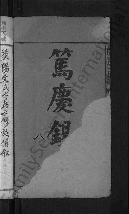 湖南文氏族谱-益阳文氏七房谱, 九房附 [28卷,首2卷,末1卷].pdf电子版预览图4