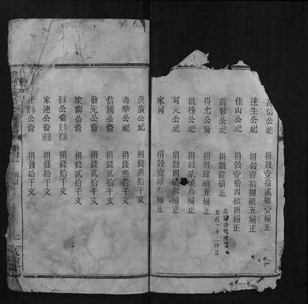 湖南巫氏族谱-醴东虹桥巫氏三修族谱.pdf电子版预览图2