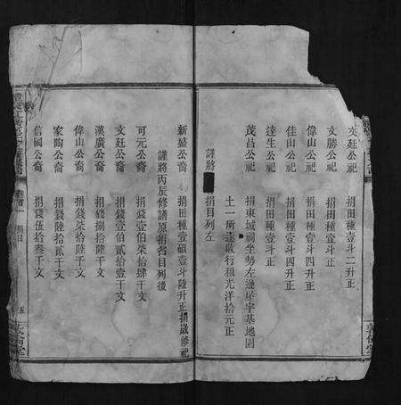 湖南巫氏族谱-醴东虹桥巫氏三修族谱.pdf电子版预览图5