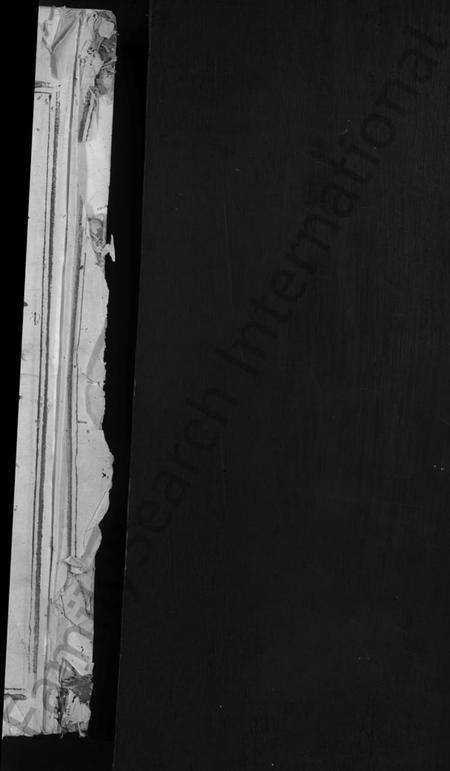 江西梁氏族谱-白沙梁氏十二修族谱 [不分卷].pdf电子版预览图2