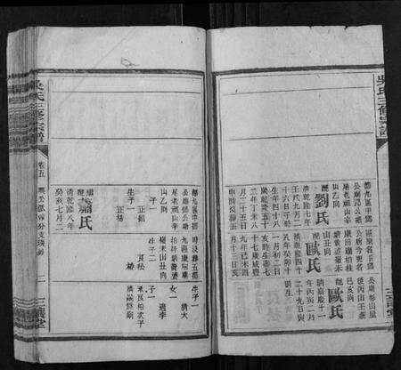 湖南吴氏族谱-吴氏三修宗谱.pdf电子版预览图2