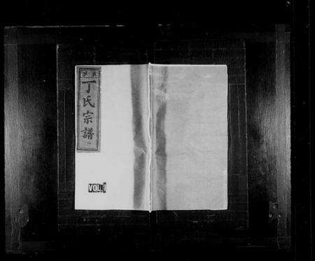 浙江丁氏族谱-贞溪丁氏宗谱 [8卷,及卷首].pdf电子版预览图1